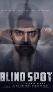 Blind Spot (2025) Hindi ORG Dual Audio UNCUT HD Rip