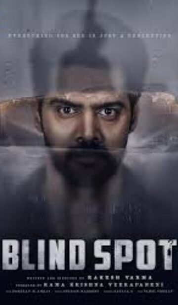 Blind Spot (2025) Hindi ORG Dual Audio UNCUT HD Rip
