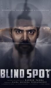 Blind Spot (2025) Hindi ORG Dual Audio UNCUT HDRip