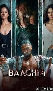 Baaghi 4 (2025) Hindi Movie